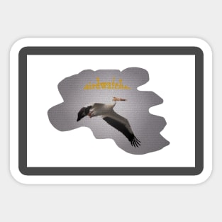 White Pelican in flight Sticker